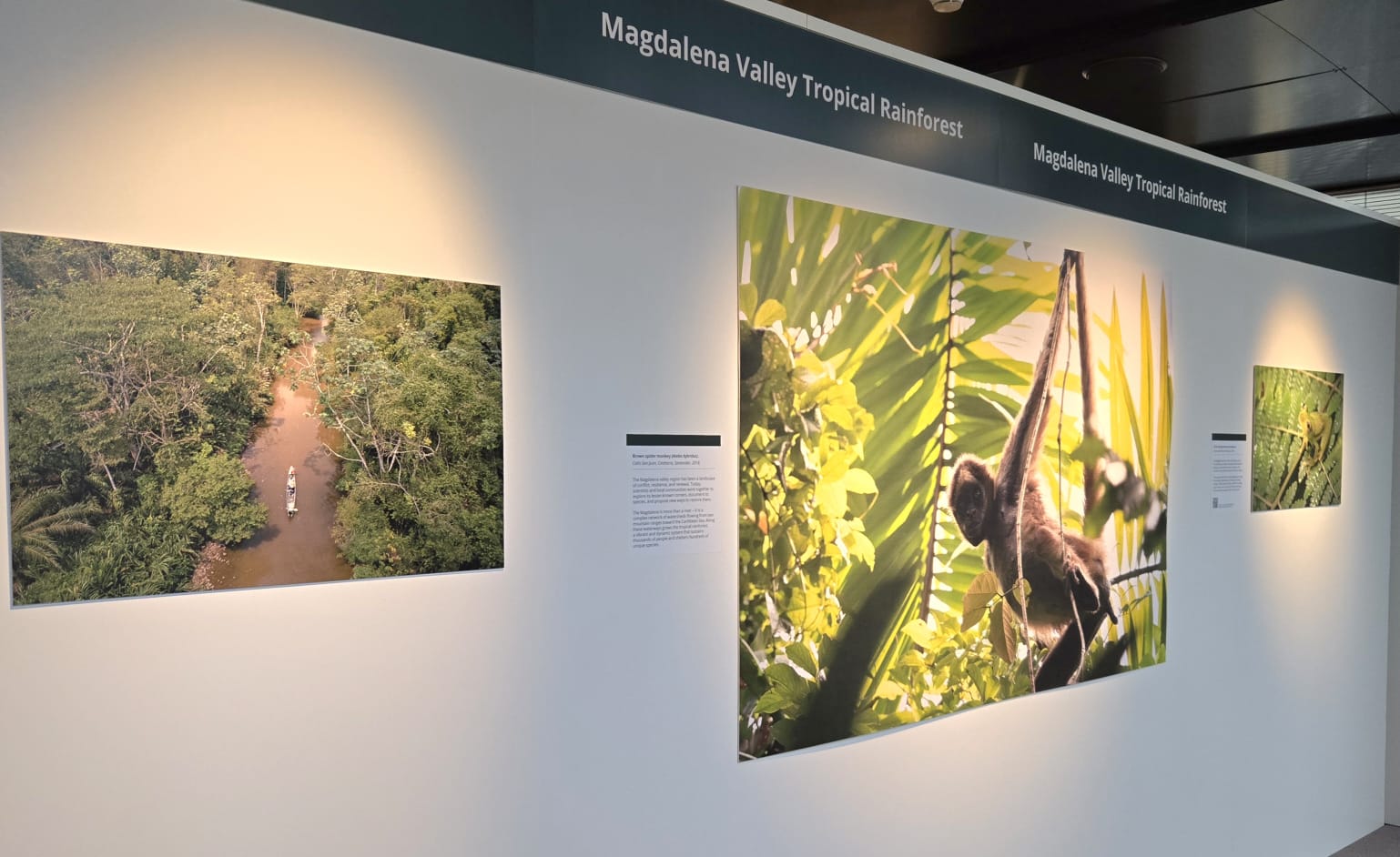 En el Parlamento de Nueva Zelanda se inauguró la exposicion “Colombia Expedition”